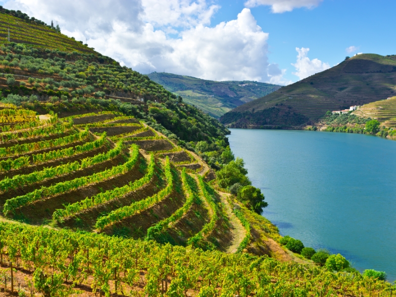 Douro Valley