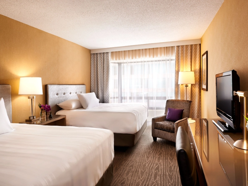 Deluxe Guest Room