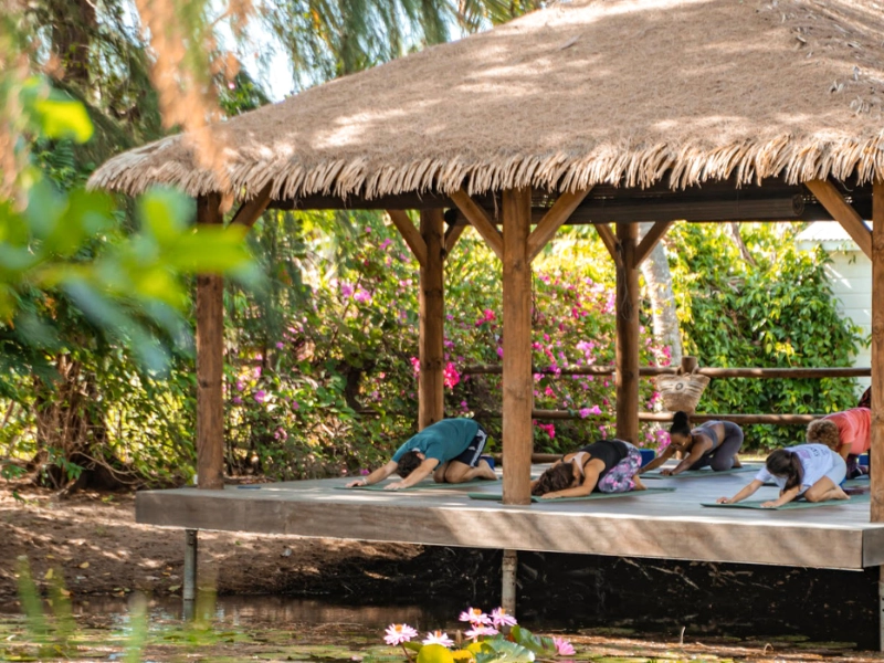 Gazebo Yoga