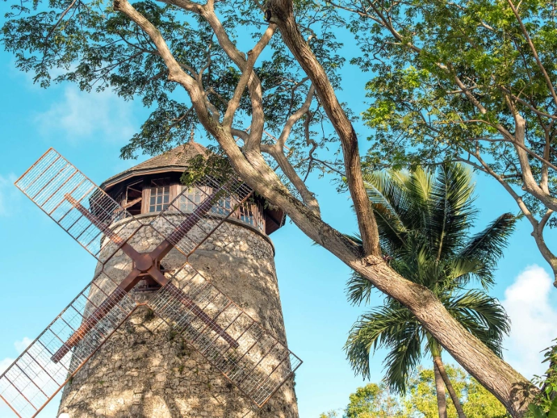 Moulin Jour
