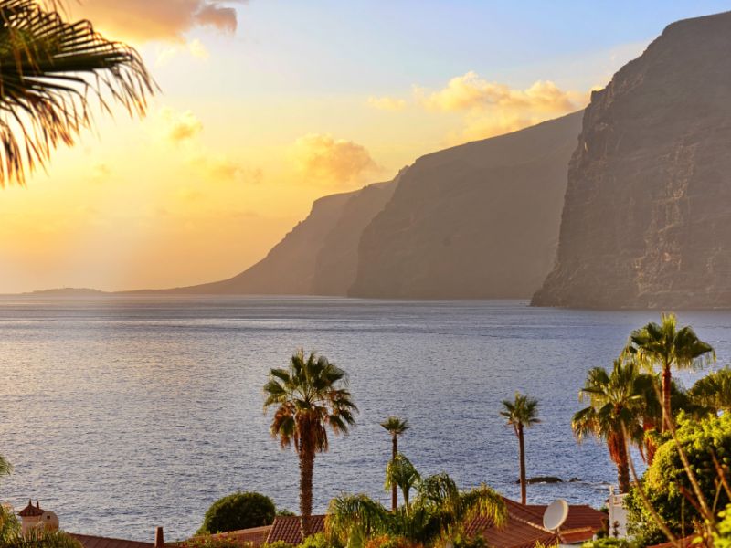 TENERIFE Palm trees ocean mountain view