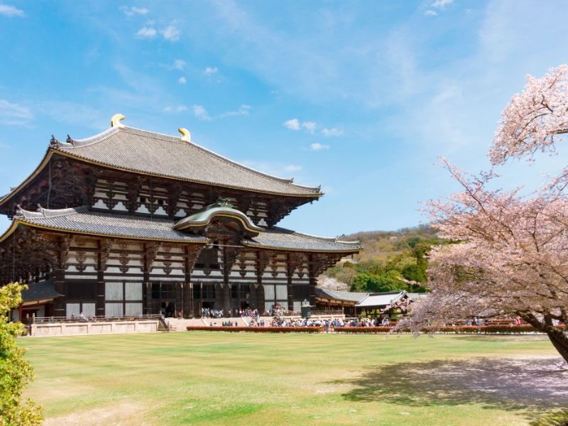 Todai ji Temple Nara