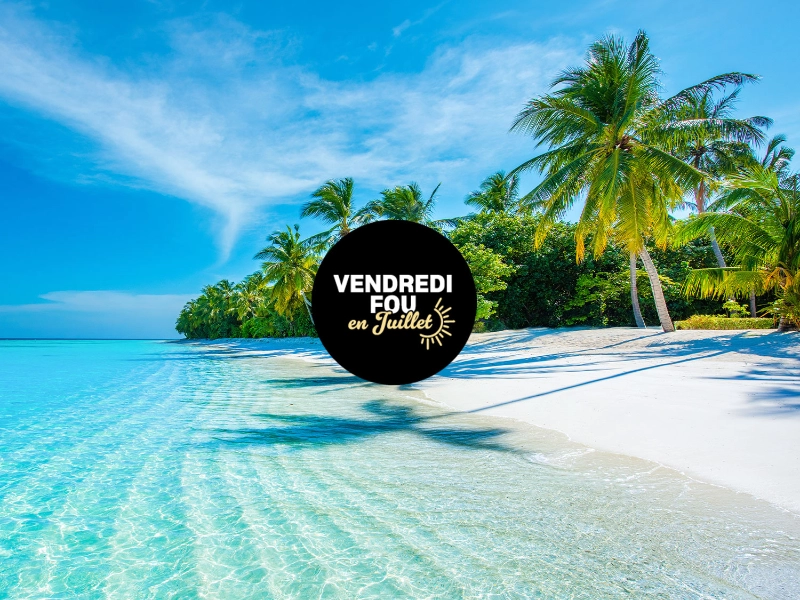 Côte de palmiers tropicale Vendredi fou en juillet