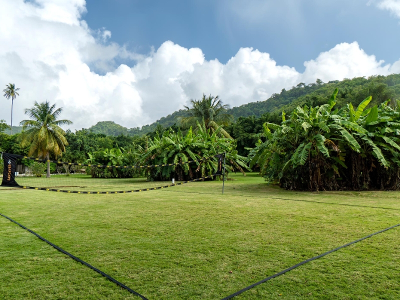 Volleyball Activity