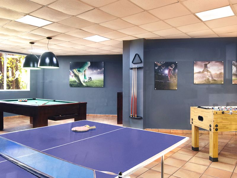 Game Area Table Tennis