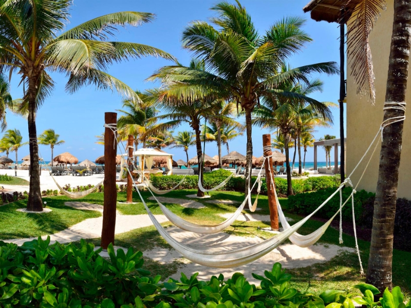 Hammocks