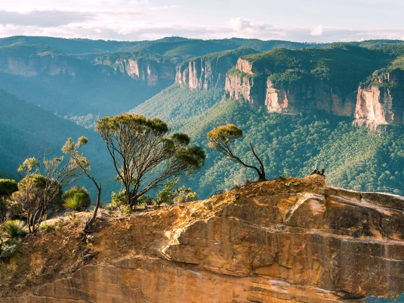 Blue Mountains