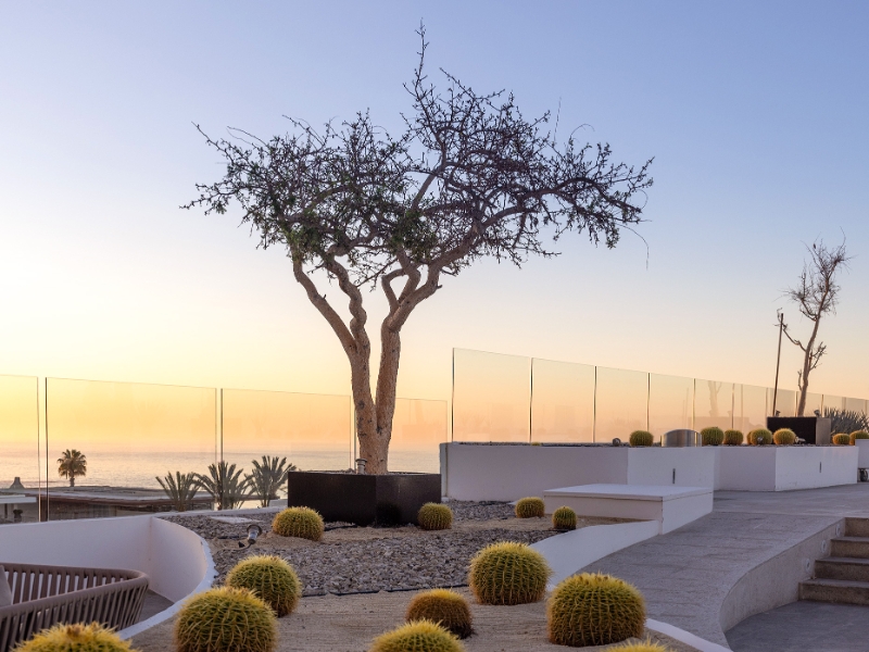 Arch Wind Terrace