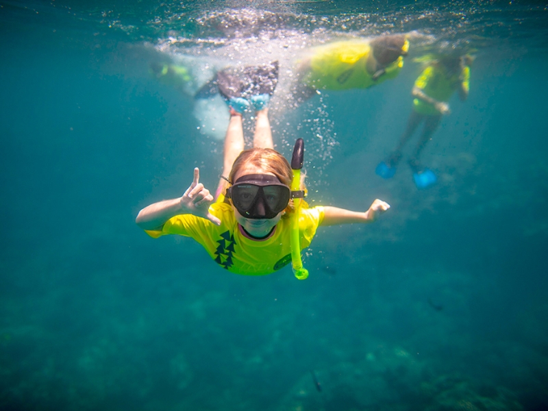 Ocean Activities