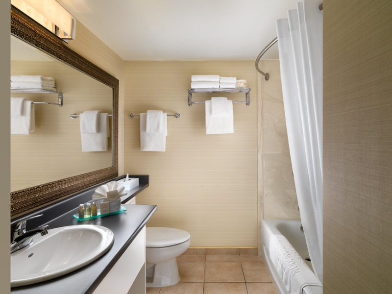 Guestroom bathroom