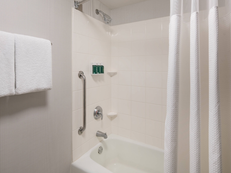 Guest Bathroom Bathtub