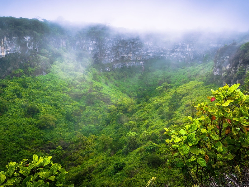 Volcanic crater Santa Cruz Island