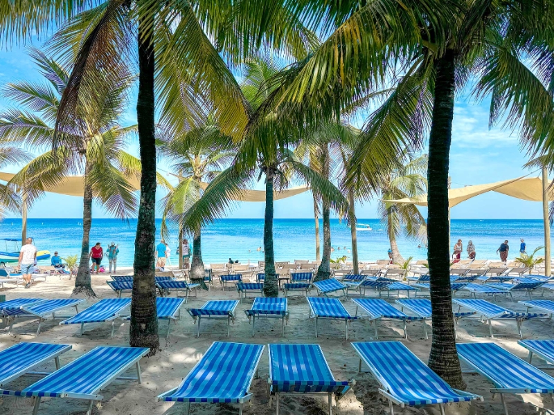 Beach Area