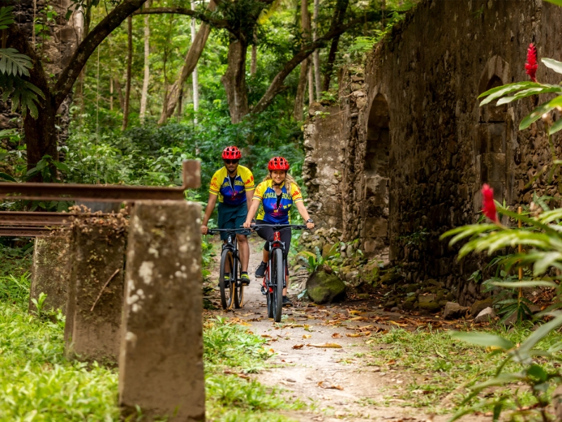 Jungle Biking