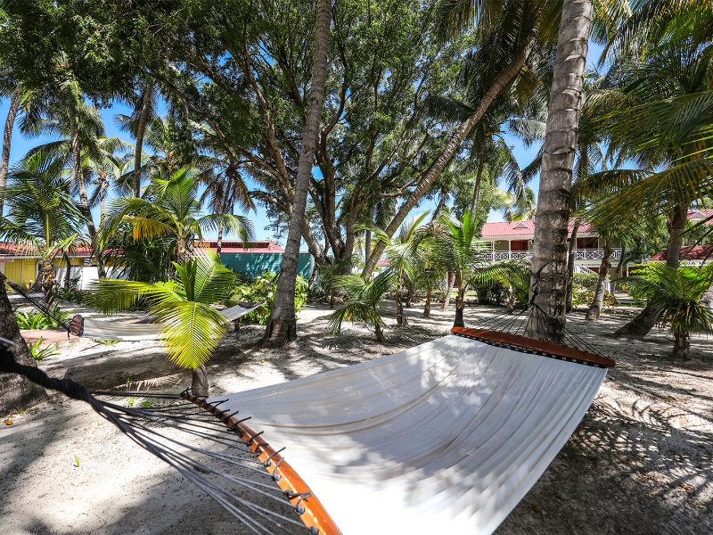 Hammock