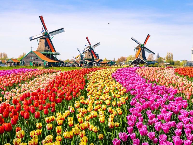 Amsterdam Zaanse Schans
