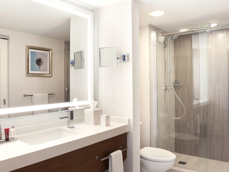 Turtle Suite Guest Bath