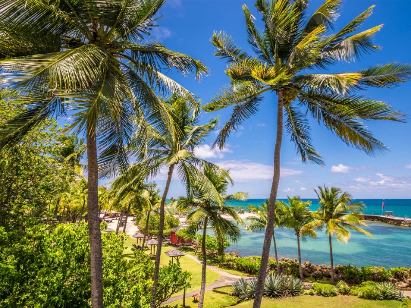 Beach View