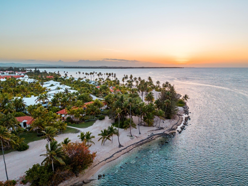 Aerial Beach View