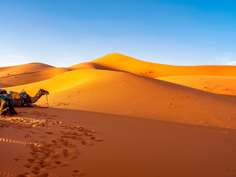 Merzouga Dunes