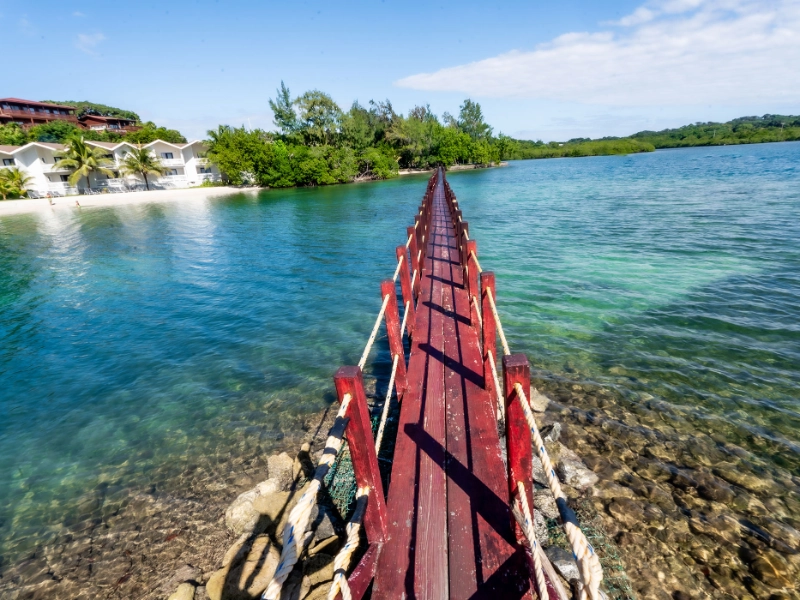 Bridge