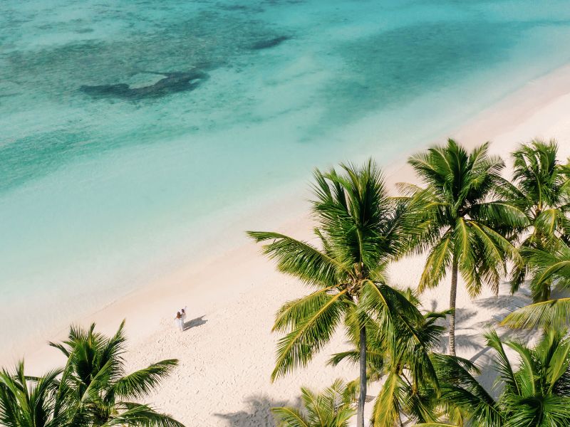 Birds eye view of beach with palm trees