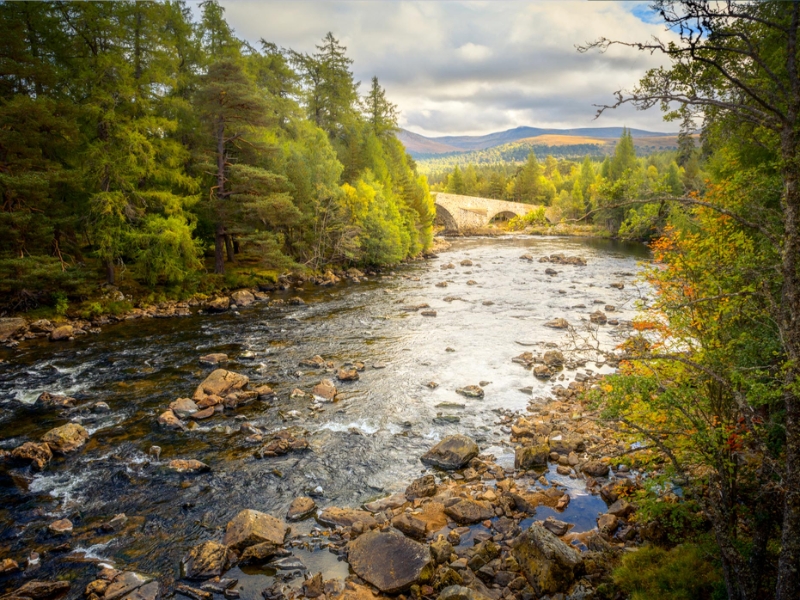 Aberdeen