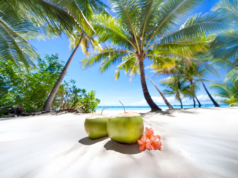beach coconuts