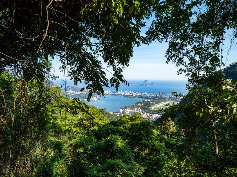 Rio de Janeiro Tijuca