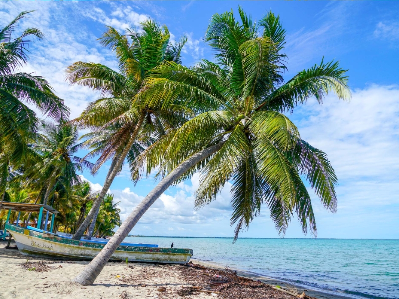 Hokins Belize