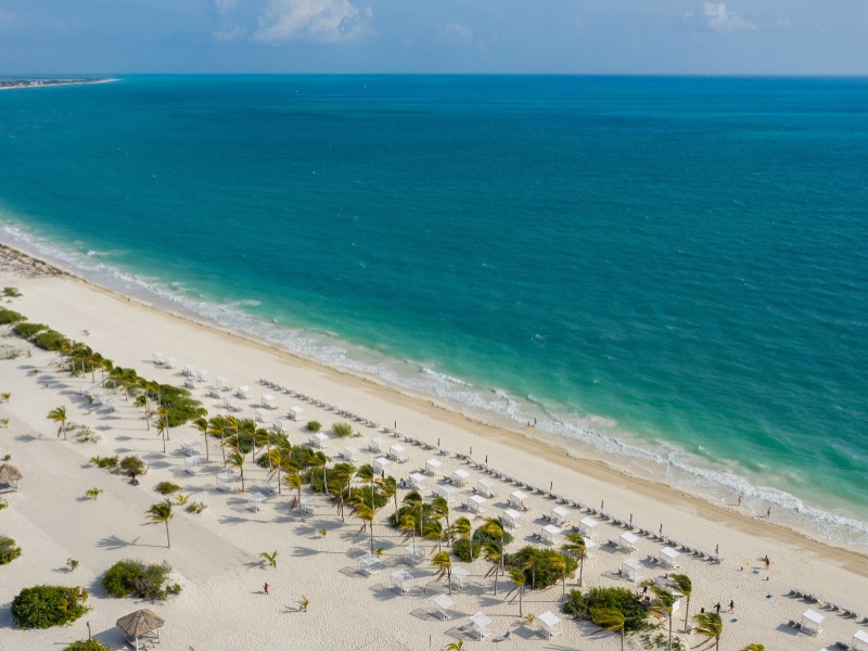 Beach View