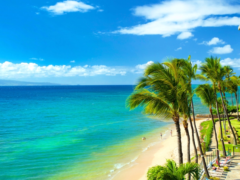 Beach