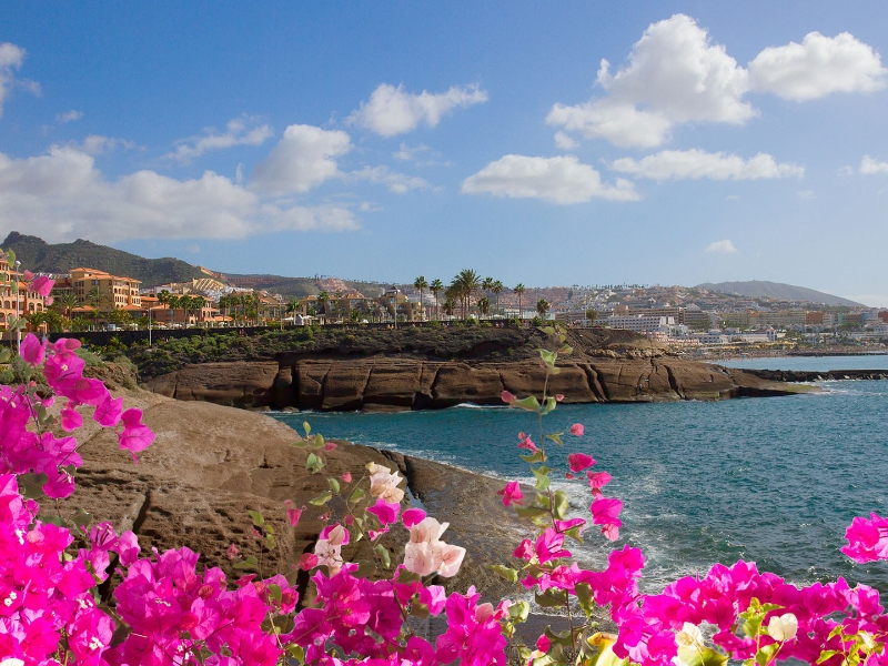 South Coast Tenerife