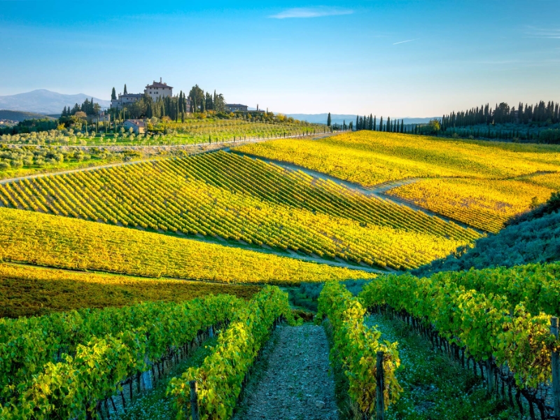 Chianti Wine