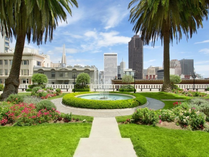 Rooftop Garden