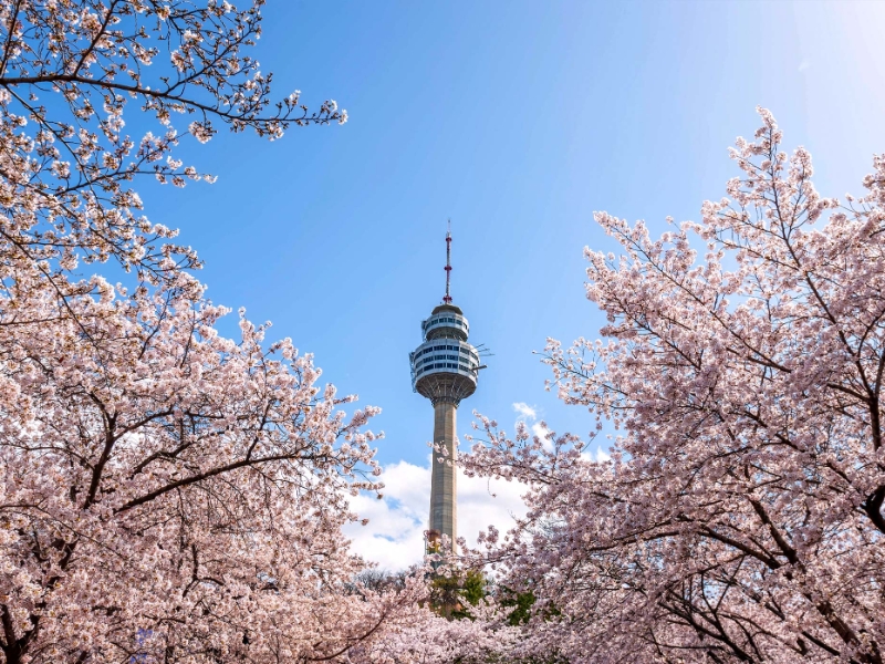 E World 83 Tower Daegu