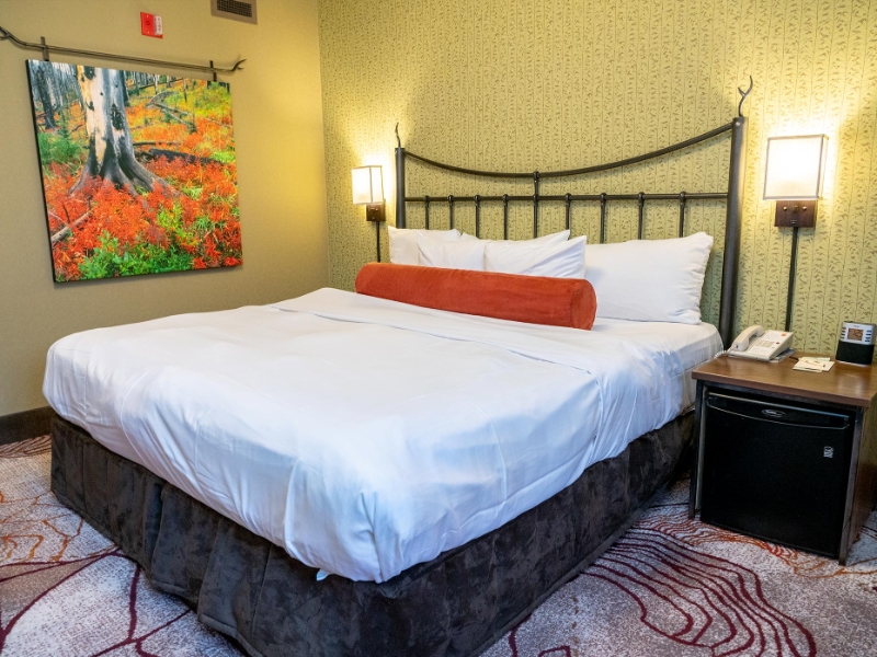 Standard King Room