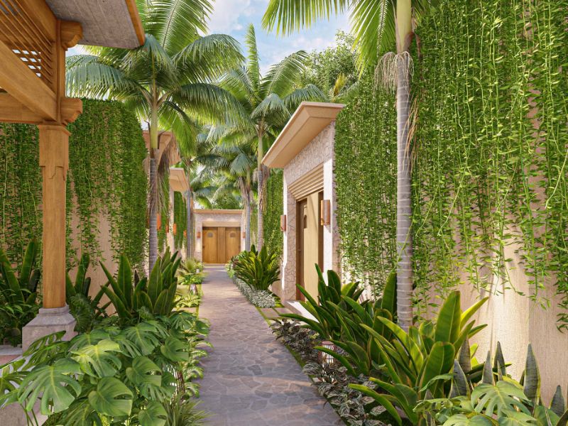 Wellness Spa