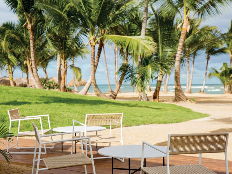 Palm and Cielo Bar