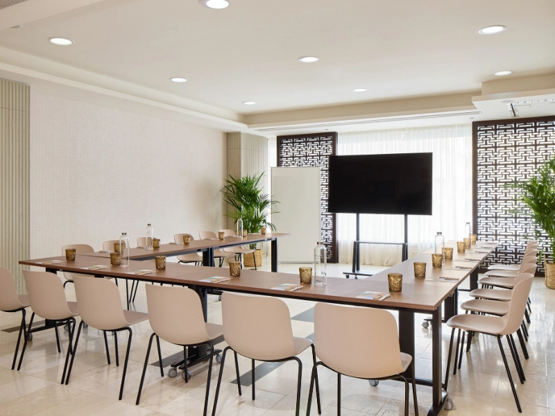 Terra Meeting Room