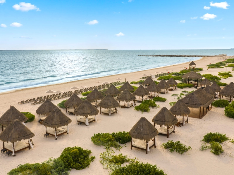 Beach Aerial View