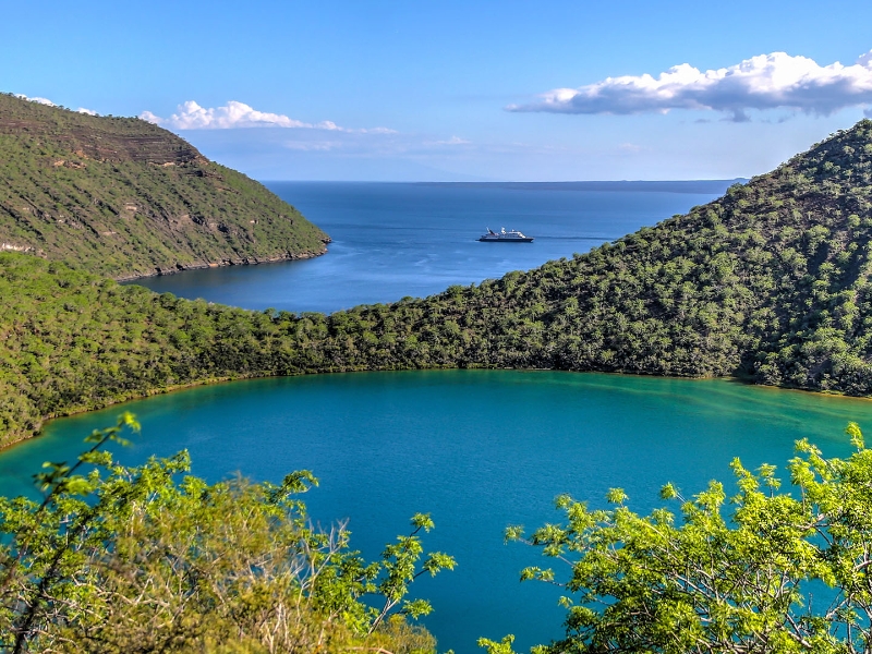 Darwins Lake Tegus Cover Galapagos