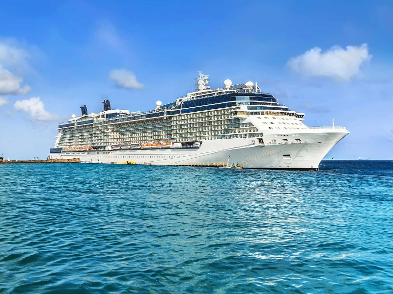Cruise