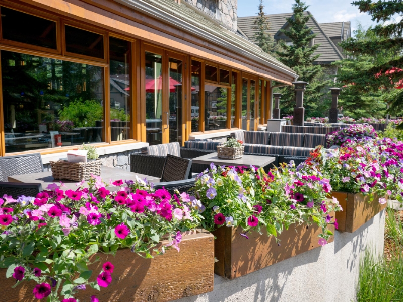 Restaurant Patio