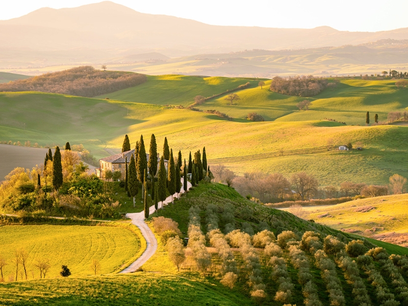 Tuscan