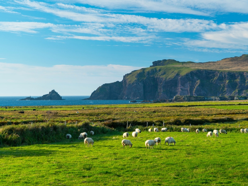 Dingle Peninsula