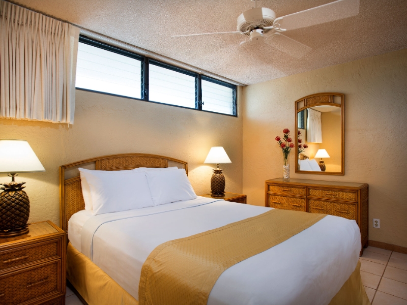 1 Bedroom Room