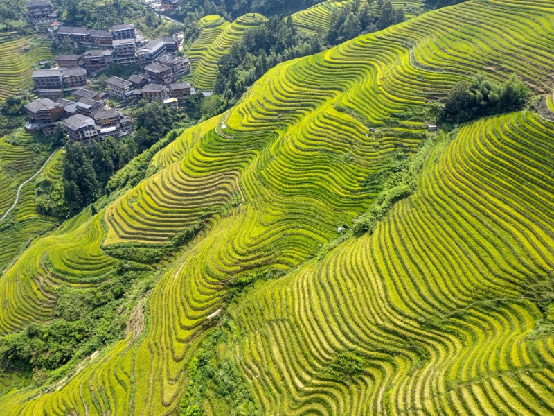 Guilin