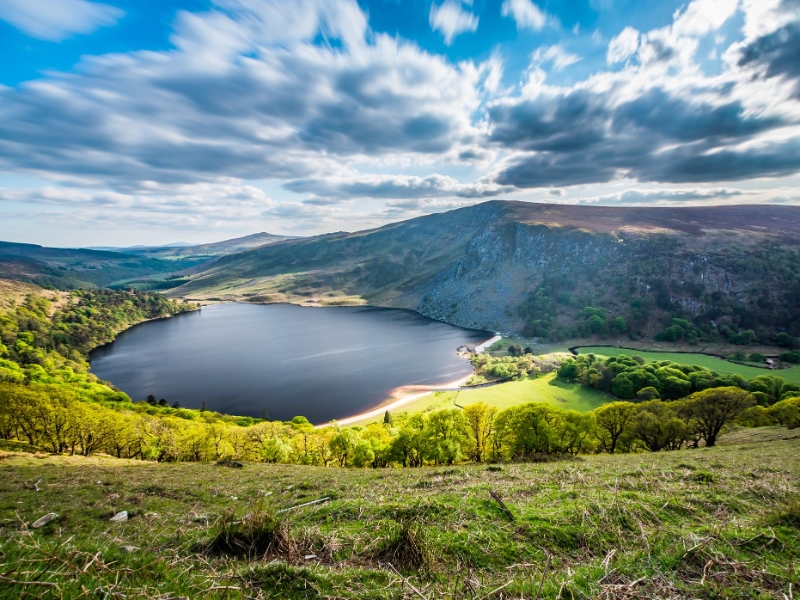 Wicklow