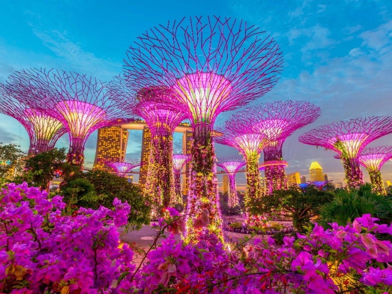 Gardens by the Bay Singapore